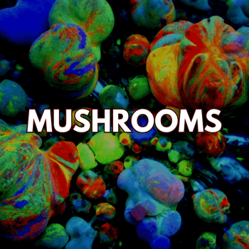 Mushrooms Coral - WildCorals